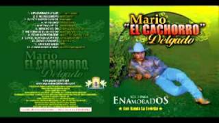 Video Como un tonto Mario (el Cachorro) Delgado