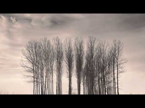 Tall Trees Video