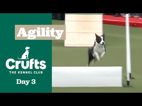 International Invitation – Large (Agility) - Part Two | ​Crufts 2025