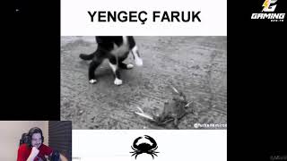 Holmes - Yengeç Faruk İzli̇yor Furkanemi̇rce