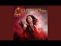 Download We Remain (From “The Hunger Games: Catching Fire”/ Soundtrack) We Remain (From “The Hunger Games: Catching Fire”/ Soundtrack)