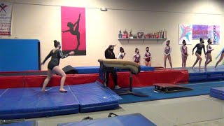 Mt. Whitney Classic Gold & Platinum Vault