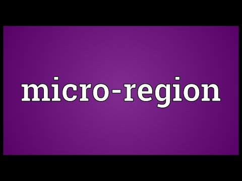 Header of Micro-Region