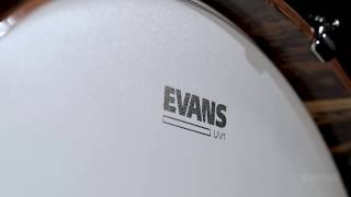 UV Bass | Evans Drumheads