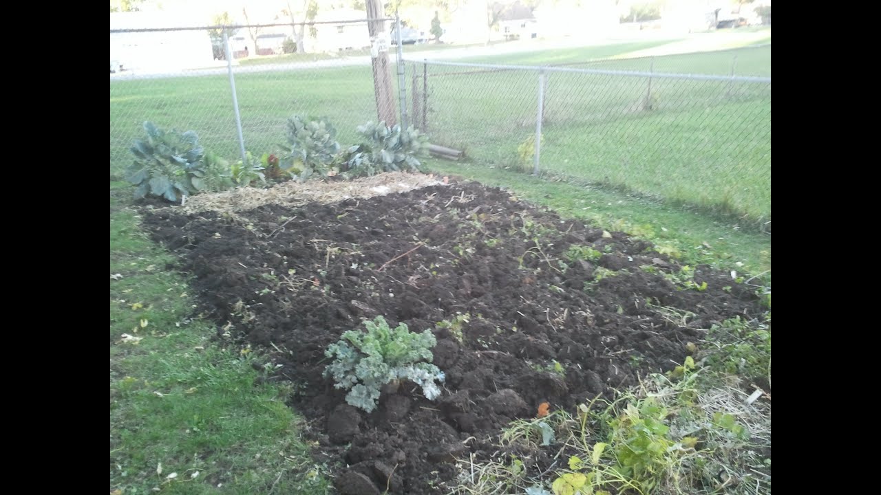 gardening trivia quot the more you know quot 4 youtube gardening trivia quot the more you know quot 4 youtube