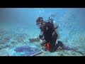 Video Alexander Belozor - underwater artist from Ukraine Александр Белозор