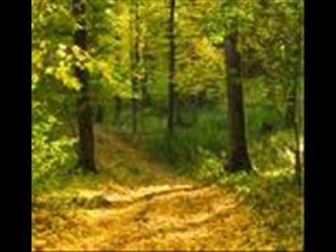 TERI YAAD AA GAI.wmv