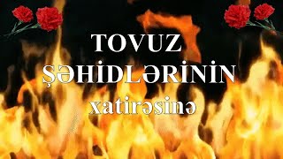 Tovuz şəhidləri