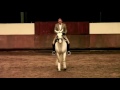Paulo Sergio & Ulysses performing spanish walk and spanish trot