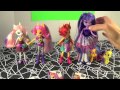 Cutie Mark Crusaders Wild Rainbow Equestria Girls! MLP Dolls Review by Bin's Toy Bin