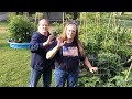 What A Fantastic Self Watering Grow Bag Garden System! You Have Got To See This!