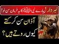 Why do dogs cry when they hear the call to prayer | Azan Ki Awaz Sun K Kuty Q Roty  | Farman e Nabvi
