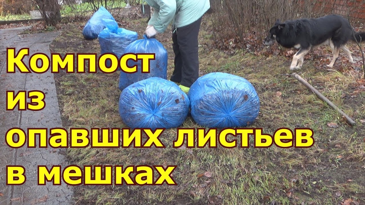 Компост в мешке как сделать 97 Компост в мешке как сделать 132