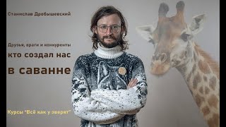 Кто Создал Человека: Друзья, Враги, Конкуренты // St. Дробышевский И Курсы 