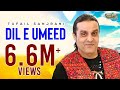 Dil e Umeed - Tufail Sanjrani - New Song 2023 - SR Production