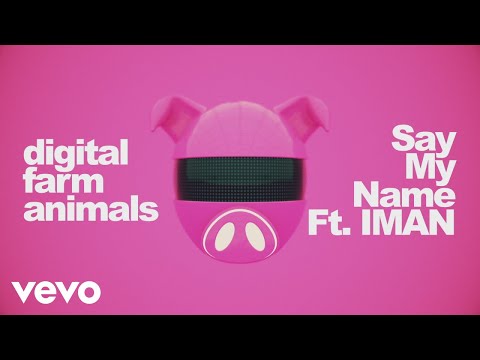 Say My Name Video