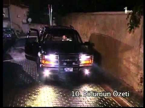Gledanje Serije Kad Lisce Pada Sa Prevodom Filmvz Portal