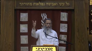 עַל שִׂנְאַת חִנָּם • הרב אלישע אבינר • ישבה"ז תשפ"א ישלצ