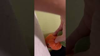 Fart On A Plush Animal