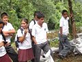 cultivo anturios