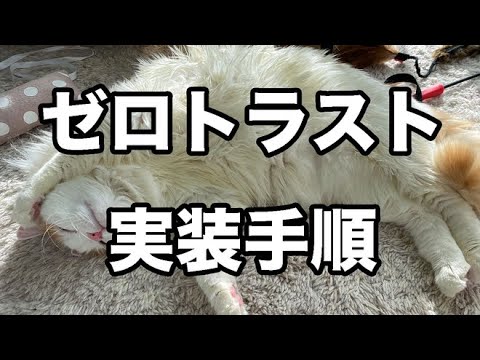 ゼロトラストを社内インフラに実装する手順 (06月04日 01:15 / 38 users)