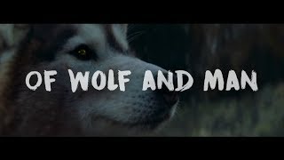 Watch Metallica Of Wolf And Man video