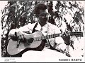 Robbie Basho Cathedral Et Fleur De Lis
