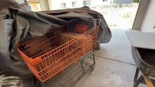 No Cart Left Behind Automated Shopping Cart Tracking & Retrieval Service Using Helium Network