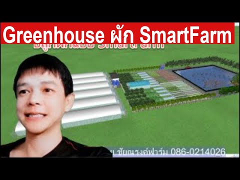 Greenhouse ผักแบบสมาร์ทฟาร์ม เขาทำอย่างไรปลูกพืชอะไรบ้าง และใช้ปุ๋ย ใช้น้ำอย่างไร