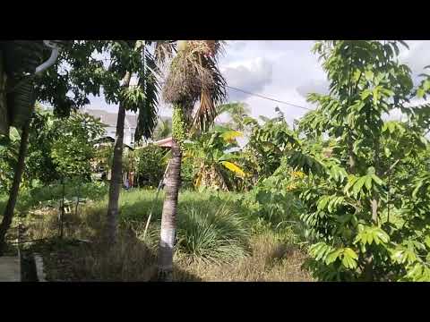 SUASANA DI KAMPUNG ๐ฒ๐พ SANTAI TENANG.NO PROBLEM ๐ฒ๐พ๐ฒ๐พ๐ฒ๐พ SUASANA DI KAMPUNG ๐ฒ๐พ SANTAI TENANG.NO PROBLEM ๐ฒ๐พ๐ฒ๐พ๐ฒ๐พ