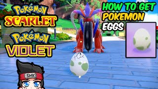 How To Get Pokemon Eggs In Pokemon Scarlet And Violet