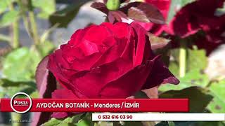 Aydoğan Botani̇k - Menderes İzmi̇r