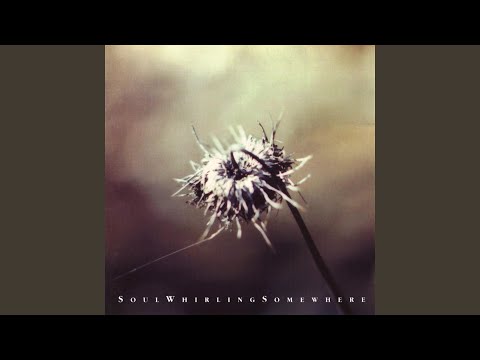A Mouse in the Mouth Video
