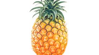 Watch Skye Townsend Pineapple Diet video