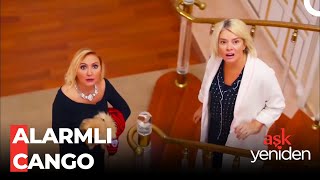 Güvenlik Önlemlerini Arşa Çıkaran Mukadder -