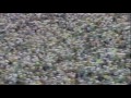 Oregon safety Eric Castle intercepts a pass vs. WSU 9-07-1991