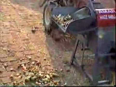 Japonica Striped Maize. AMAR Maize Sheller 2-Wheel