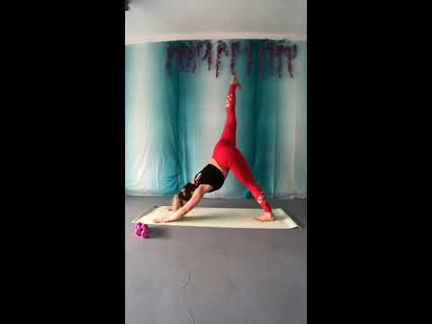 Free YOGA!
