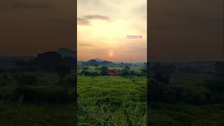 కననరసన వచచదమమ