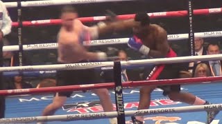 My 2nd Professional Fight KO!