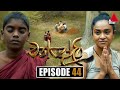 Chandoli Episode 44