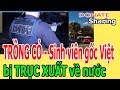 TR,Ồ,NG C,Ỏ - S,i,nh v,i,ê,n g,ố,c Việt b,ị TR,Ụ,C X,U,Ấ,T v,ề n,ư,ớ,c - Donate Sharing