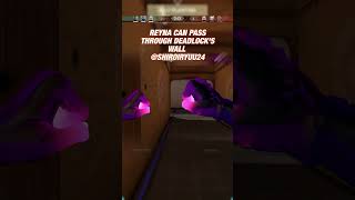 Reyna Can Pthrough Deadlocks Wall