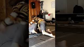 Ambitious Armbar