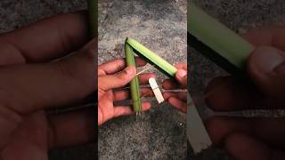 Buat Kapal Mainan Dari Pelepah Pisang