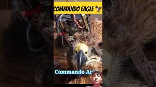commando eagle 🦅#eagle #shorts #remix #indianarmy #amazingfacts #birds