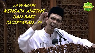 Ustadz Abdul Somad, LC.MA - Alasan Allah Menciptakan Babi