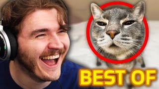 Best Of Schlatt Ranking Your Tiktoks