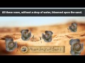 Gulshan E Fatima Ra By Hadhrat Sheikh Asif Hussain Farooqui images Gulshan E Fatima Ra By Hadhrat Sheikh Asif Hussain Farooqui