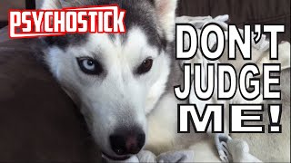 Watch Psychostick Dogs Like Socks video